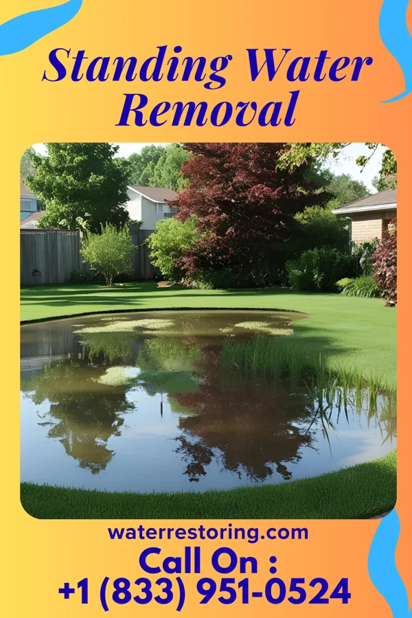Standing Water Removal in La Harpe, KS